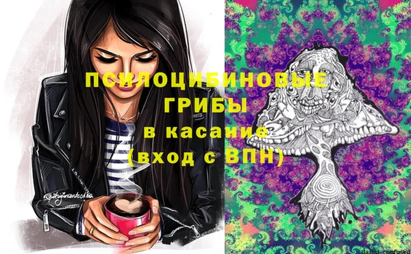 эйфоретик Алексеевка