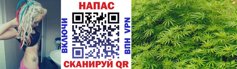 Конопля SATIVA & INDICA  Нефтегорск 